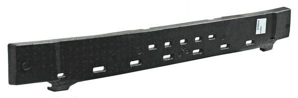 ANTHCI13