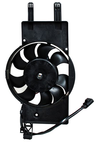 BV6Z8C607L