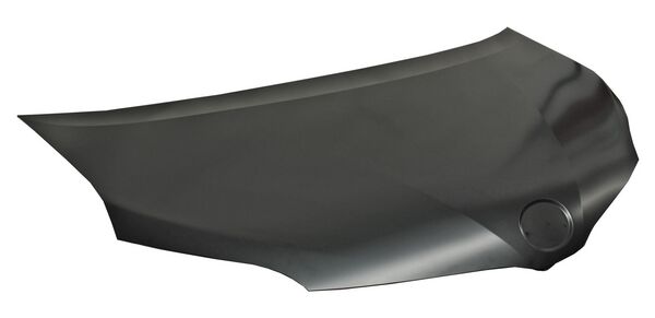 CTSI11