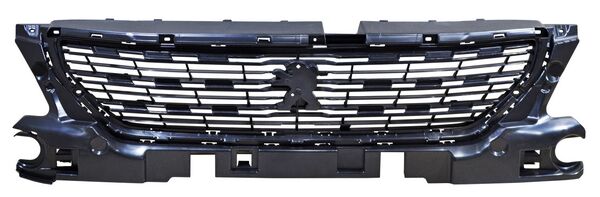 PP30118N